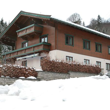 Premium Chalet Andrea Leogang Exteriör bild